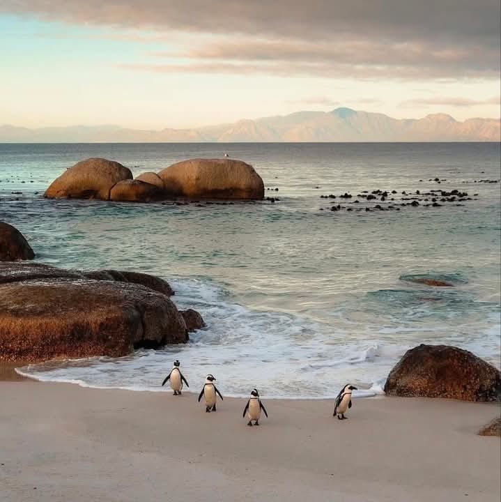 Peninsula 19